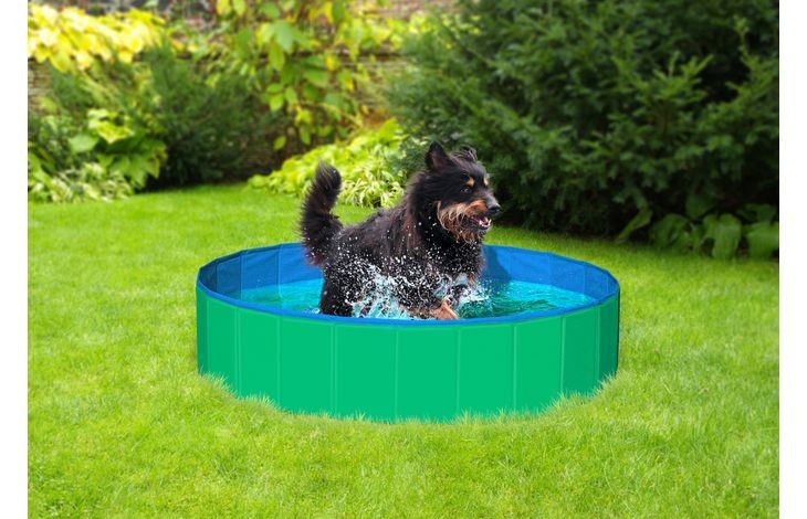Flamingo - Doggy Splash Pool Green/Blue M - 120X30CM(540058500218)