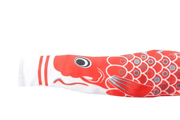 VELOPLUS-FISCH Anhängerfahne für Veloanhänger  schwarz