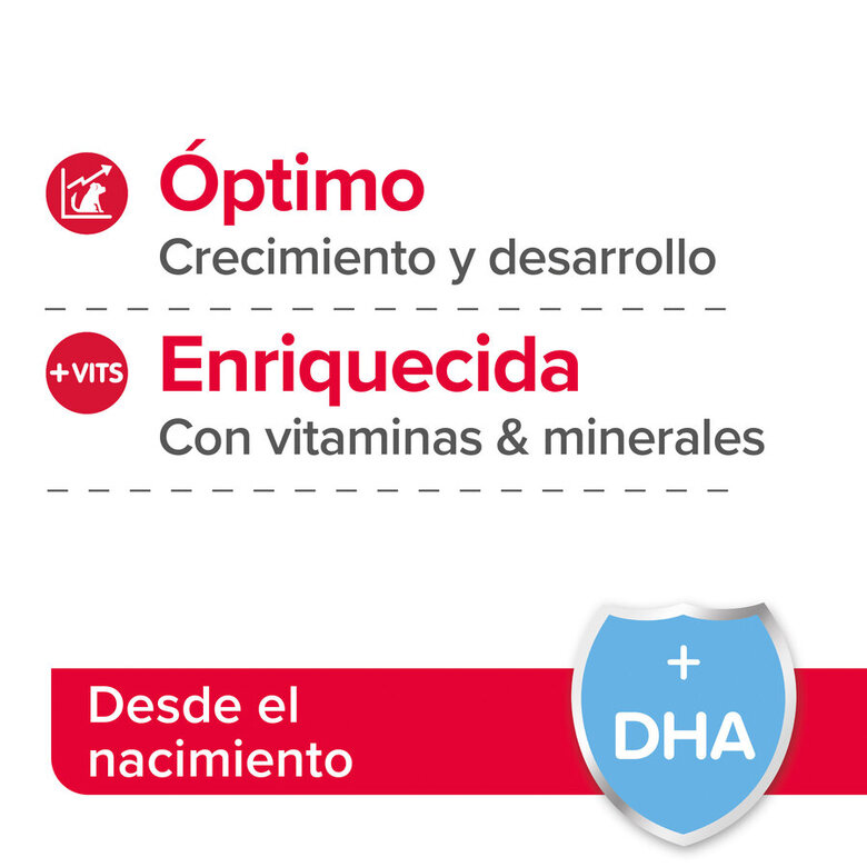 Leite em pó Beaphar Lactol para filhotes