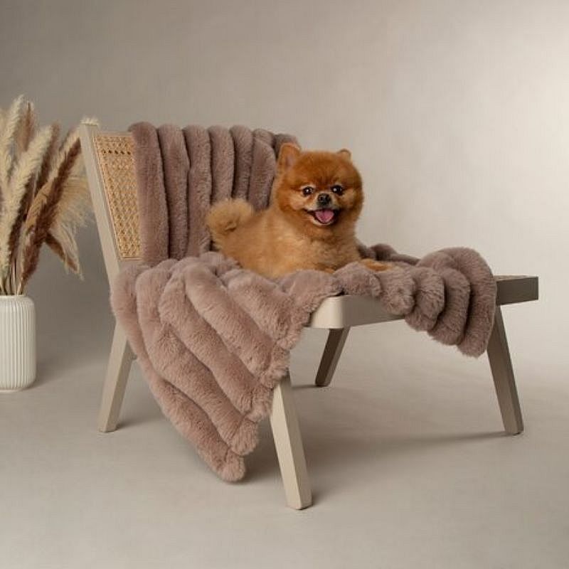 Scruffs Aspen Blanket Deken Hond Kat 110 x 75 cm | Taupe | 15328.1