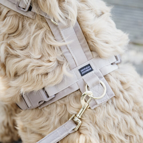 Kentucky Dog Harness Active Velvet