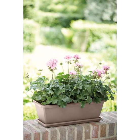 Jardinière barcelona en plastique taupe - 50x19,5x15,6 cm