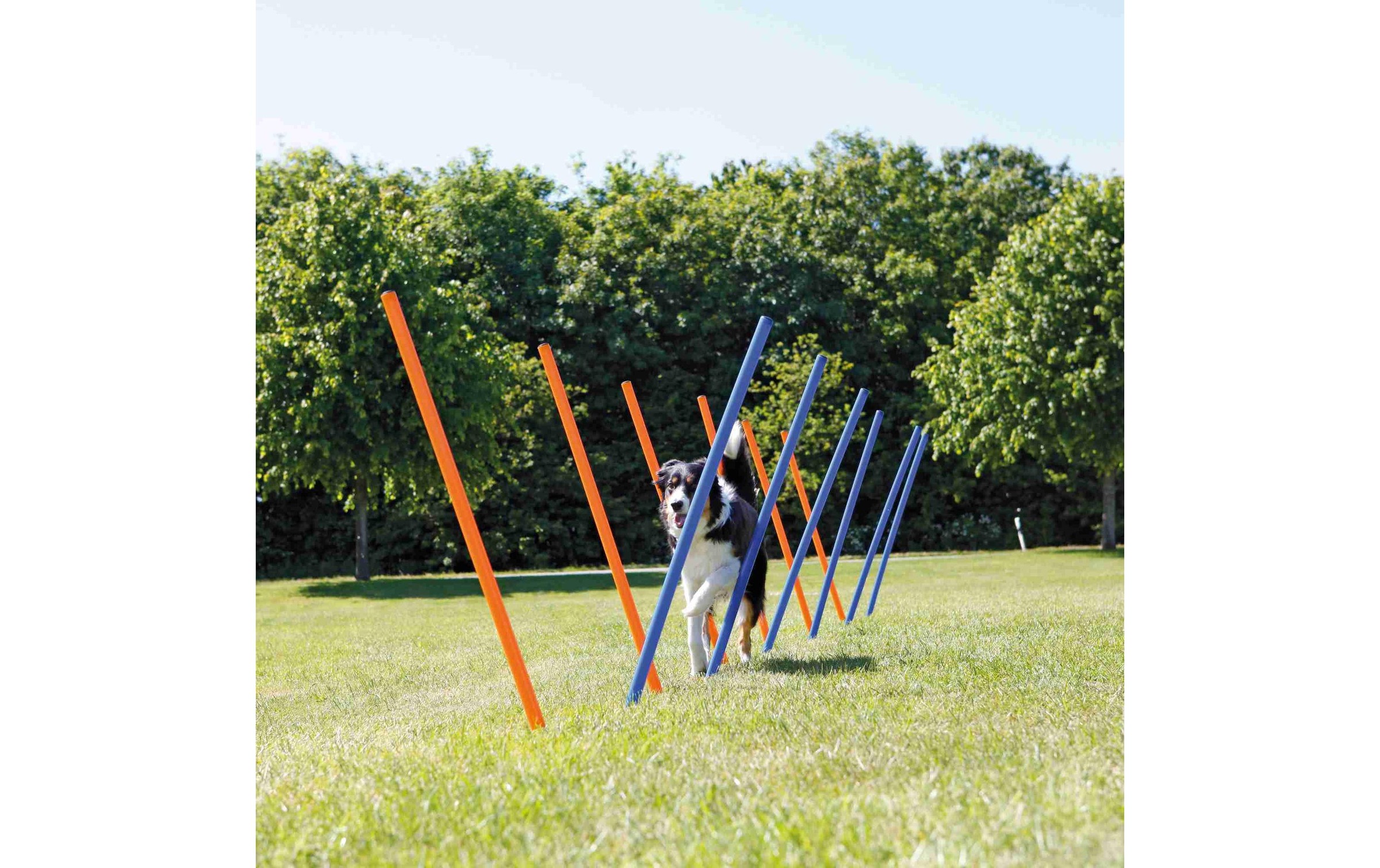 TRIXIE Agility-Slalom »Agility Slalom Dog Activity Set, 12 Stangen« Kunststoff