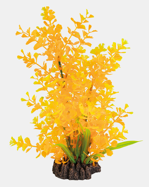 Superfish Art Plant 25cm Ludwigia Orange | Aquarium planten