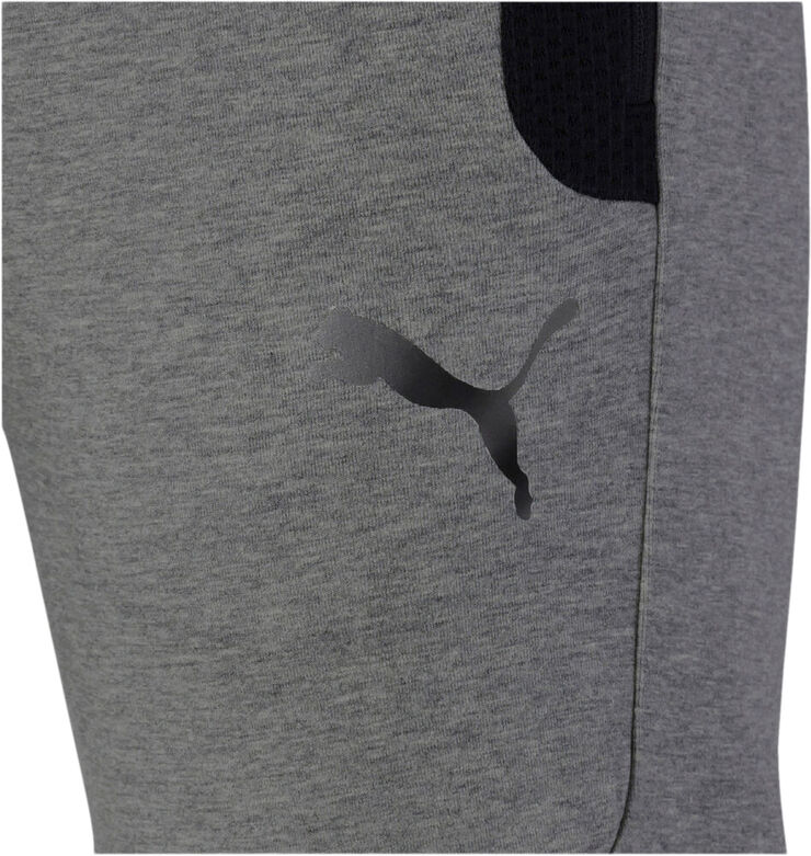 Puma Evostripe Bukser Grå