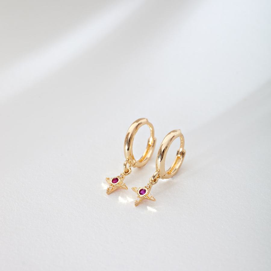Timi Of Sweden Rebecca Star With Pink Crystal Hoop Earrings