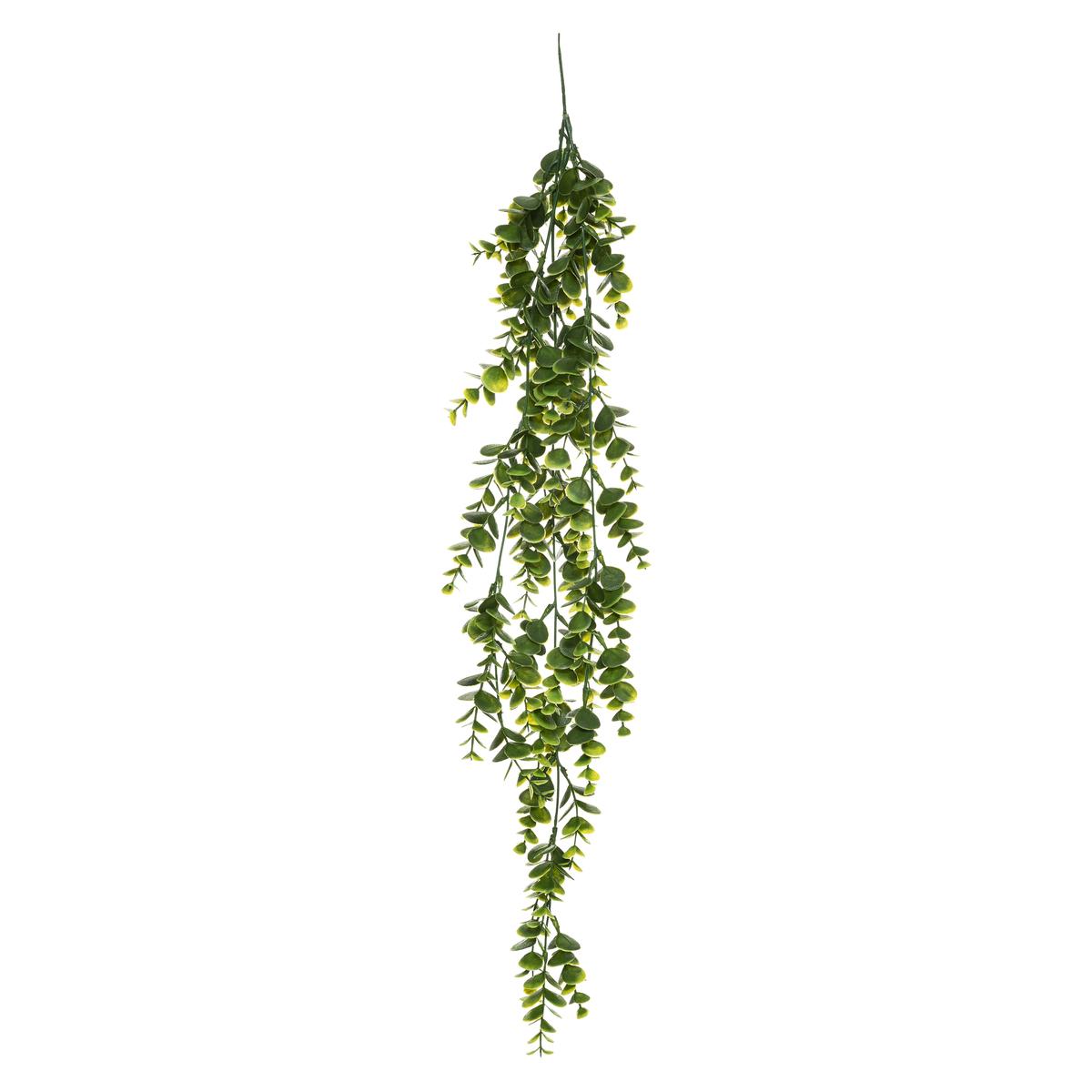 TIGE TOMBANTE ALWY H.75CM
