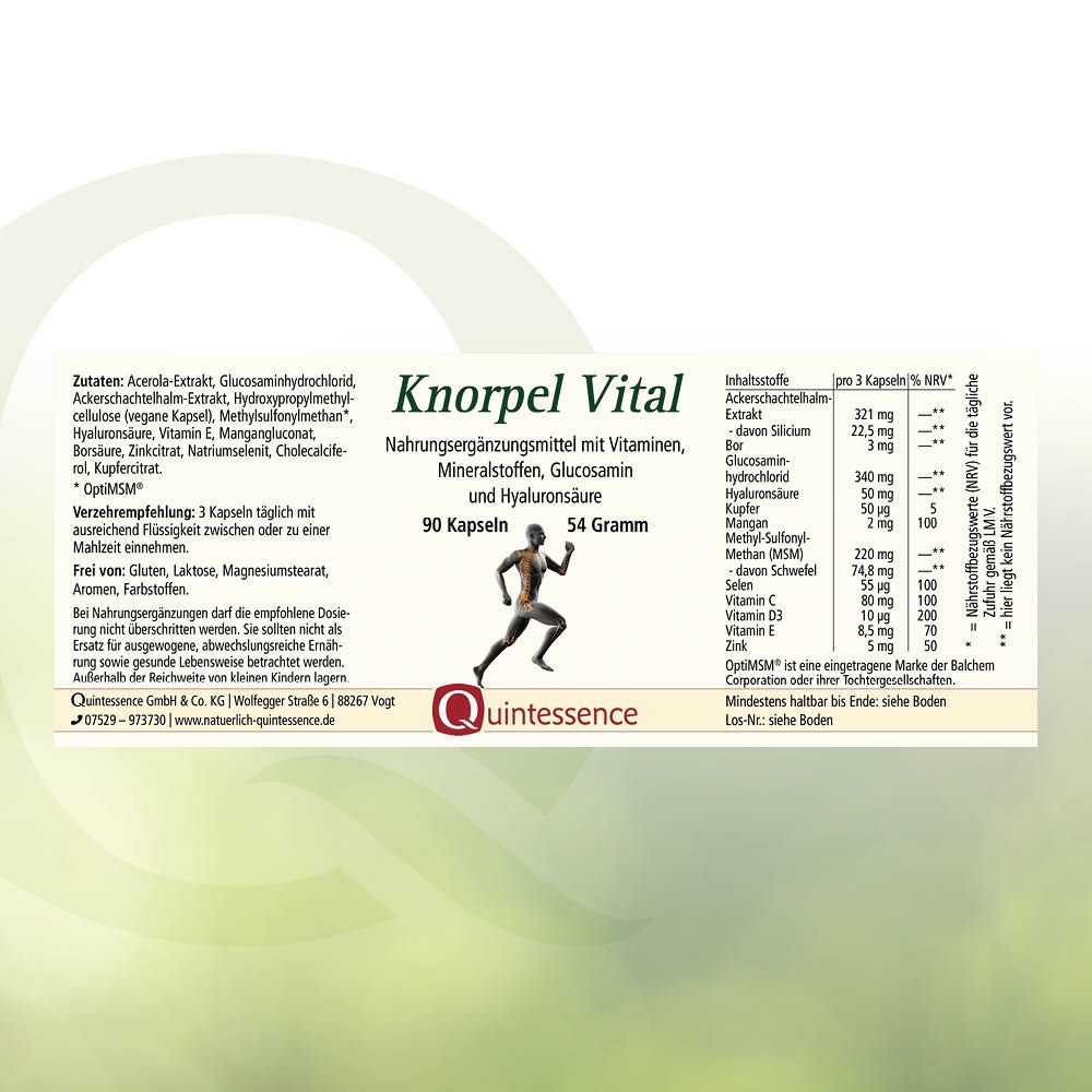 Knorpel Vital Kapseln von Quintessence