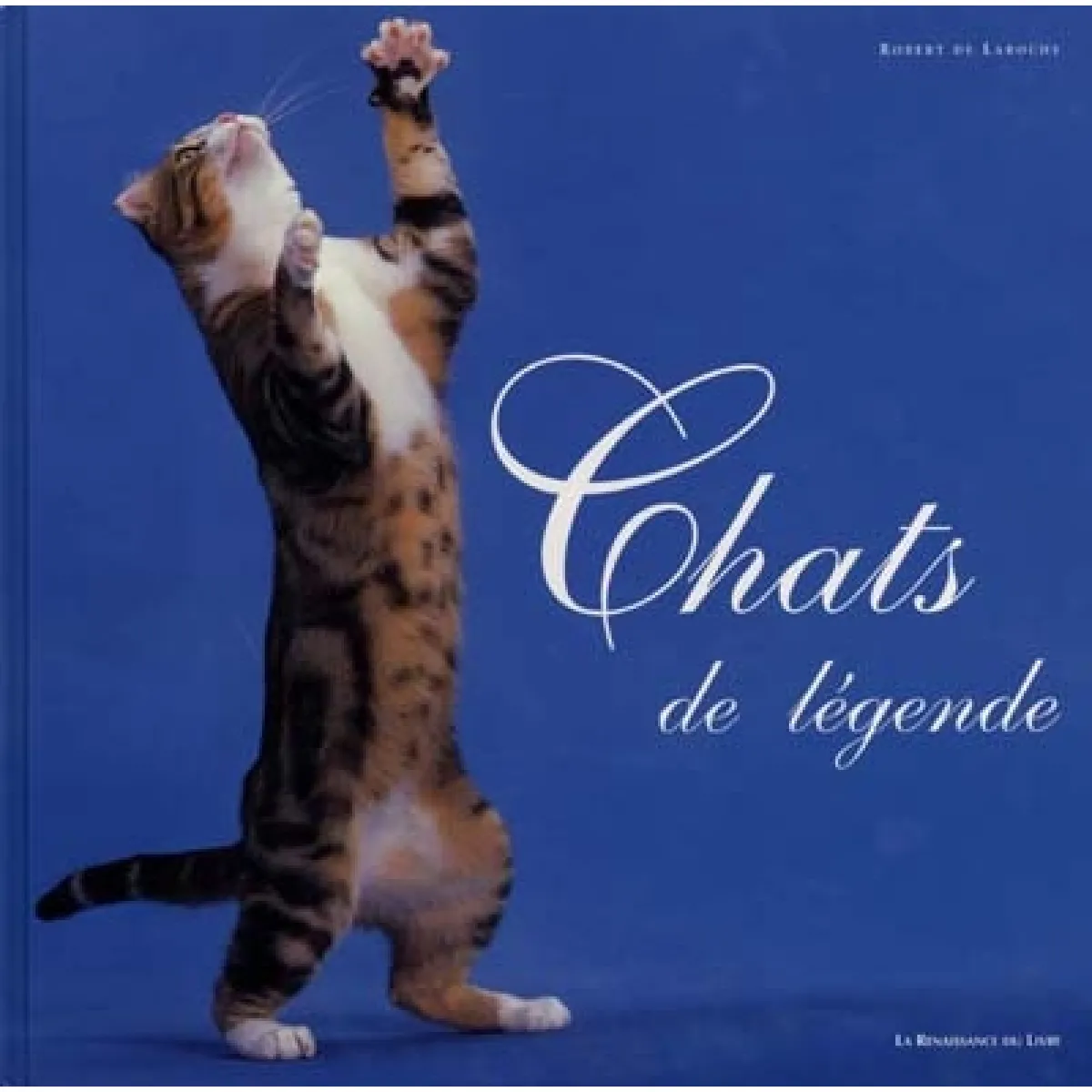 Chats de légende · Occasion