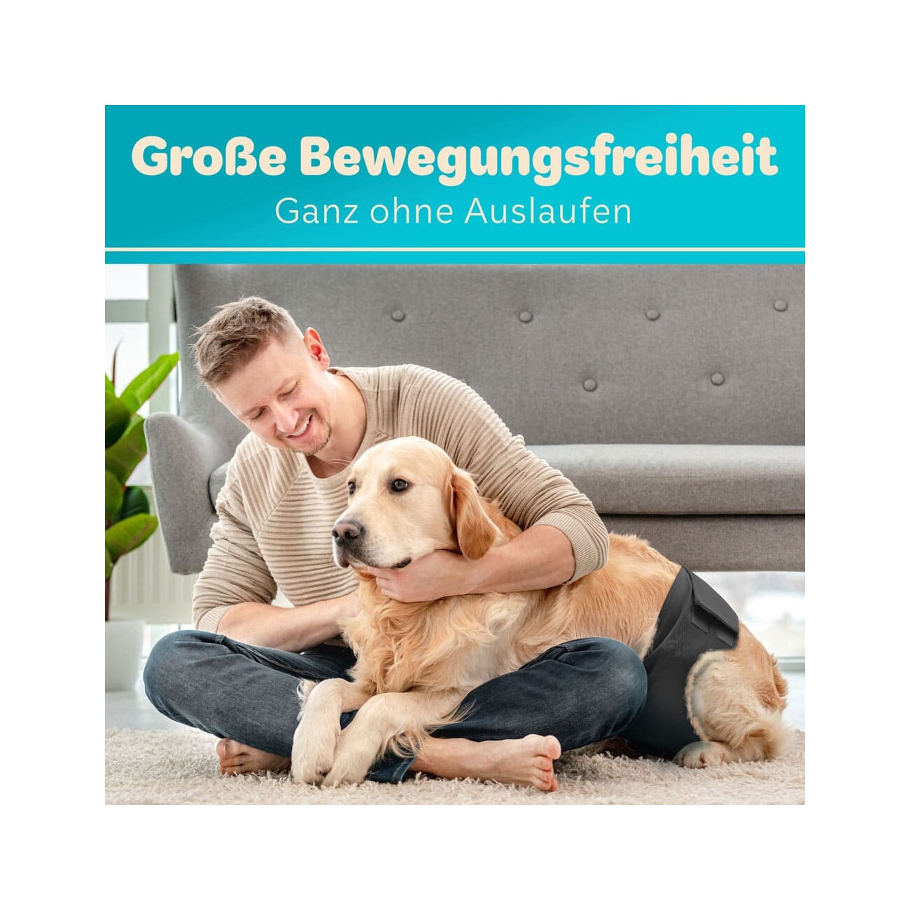 HUND IST KÖNIG Hundewindeln für Rüden [3 STK] Saugstarke Hundewindeln Rüde | Bequeme Hunde Windeln bei Inkontinenz L