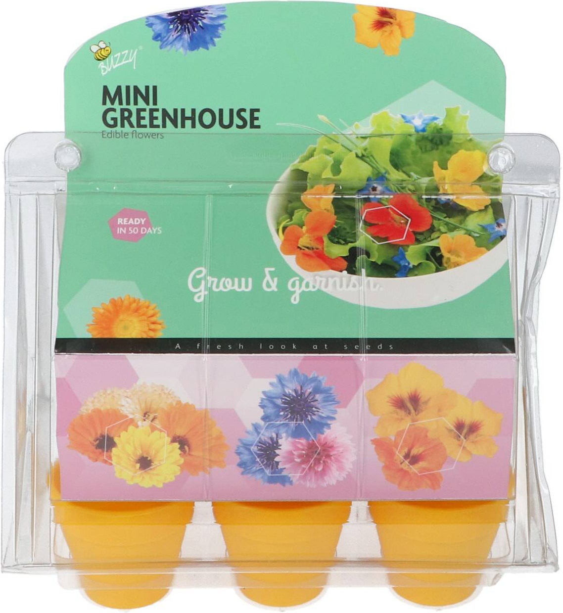 Buzzy kruidenzaad kweekset eetbare bloemen
