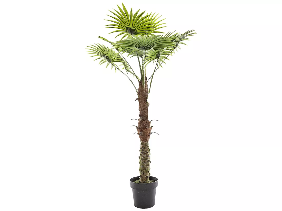Tronc végétal décoratif de palmier l.100 x p.100 x h 134