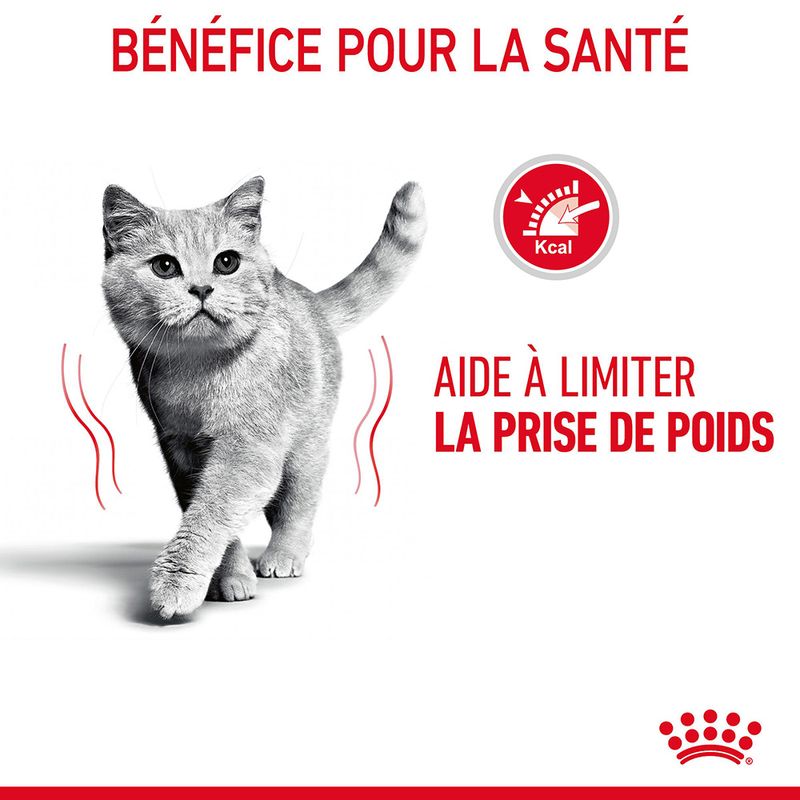 Royal Canin Light Weight Care en gelée