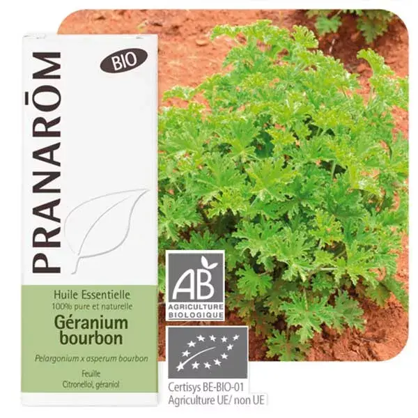 Pranarom Huile Essentielle Bio Géranium Rosat cv Bourbon 10ml