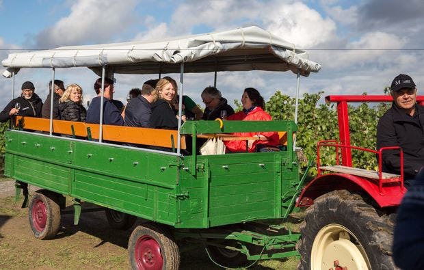 Weinseminar in Zeilitzheim - Rundfahrt & Verkostung