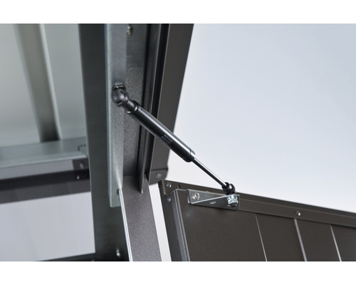 Biohort HighLine H3 tuinhuis met dubbele deuren, 275 x 235 cm, donkergrijs metallic