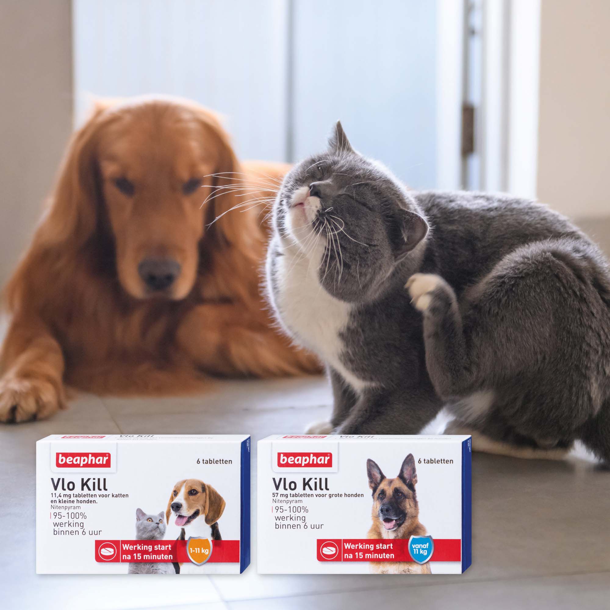 Beaphar Vlo Kill Hond en Kat tot 11kg - Vlooienmiddel - 6