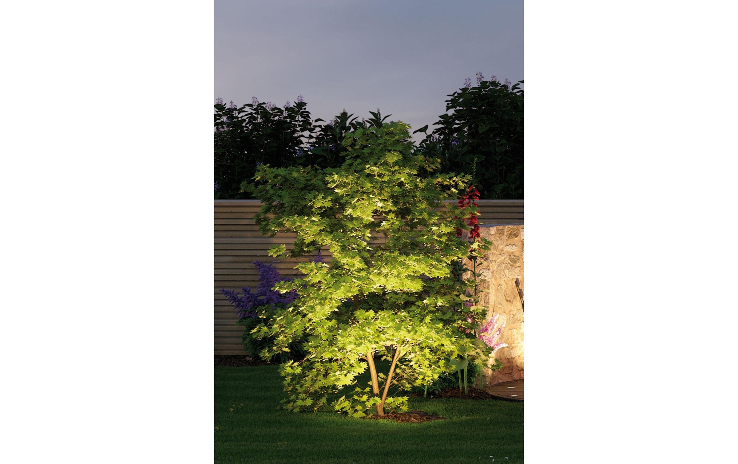 Paulmann Gartenleuchte »Plug & Shine St« Warmweiss