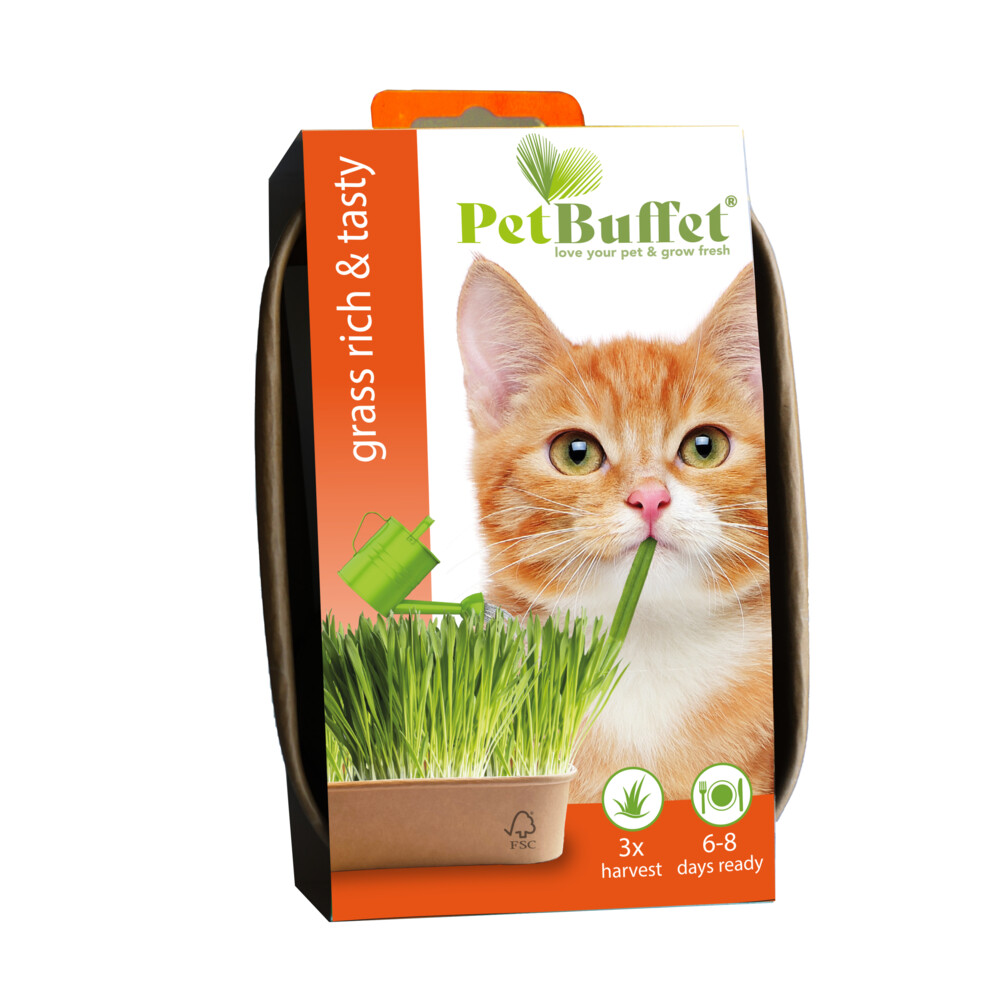 Baza Pet-Buffet Kattengras Rich & Tasty Poes Set 3 x Kweken