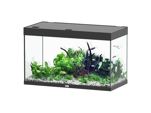 Aquatlantis Sublime 100x50 aquarium | Gloednieuw