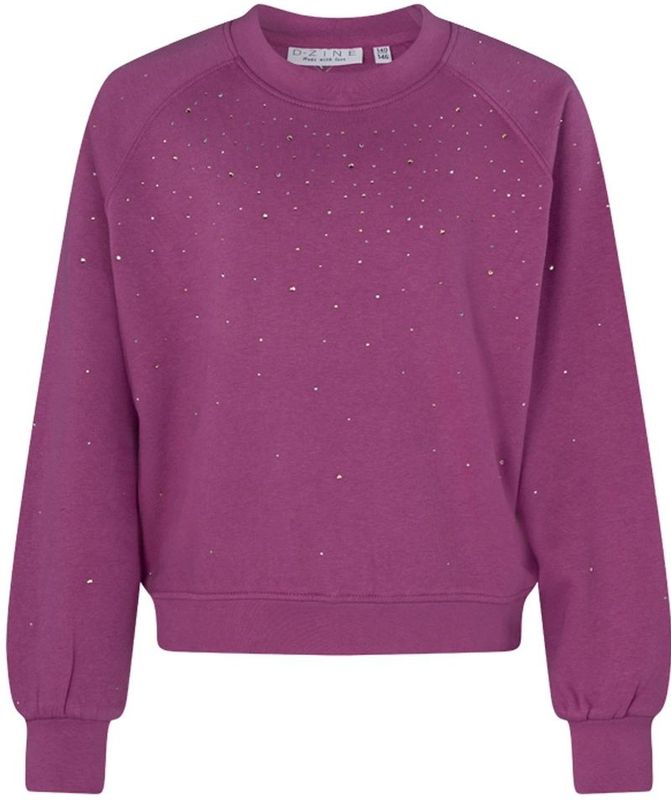 D-zine meisjes sweater - Cyclaam