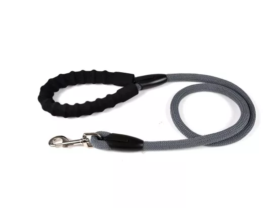 Laisse pour Chien 