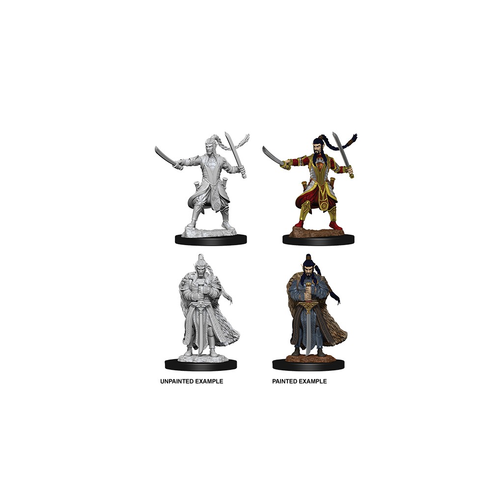 D&D Nolzur's Marvelous Unpainted Miniatures: Male Elf Paladin