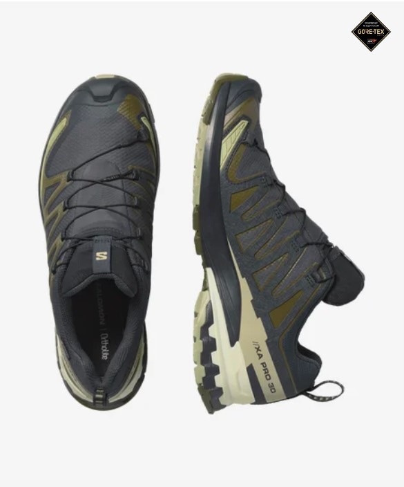 Salomon XA PRO 3D V9 GTX, Herre<br>Terrengløpesko
