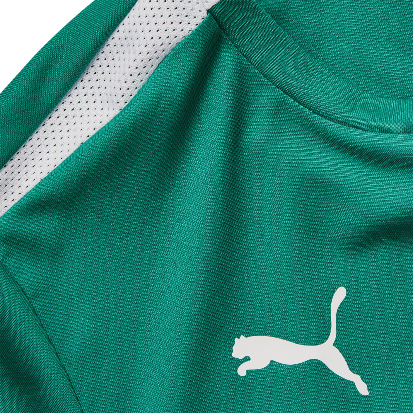PUMA teamLIGA Trainingsset Kids Groen Wit