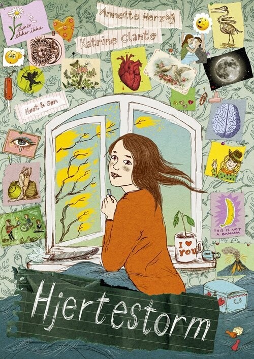 Hjertestorm - Annette Herzog - Bog