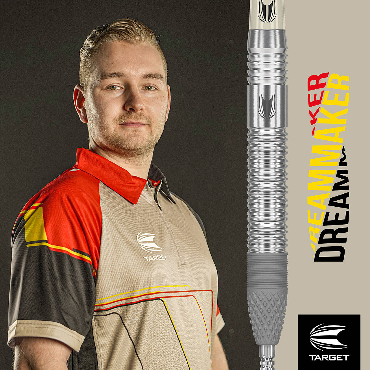 Target - Swiss Point - Dimitri van den Bergh - Steeldart
