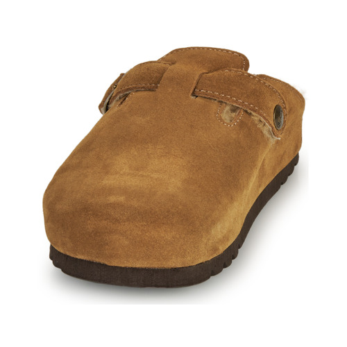 Scholl - FAE Topotea