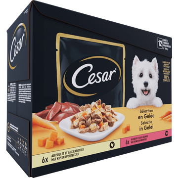 Cesar Selectie in Gelei 12 x 100 g