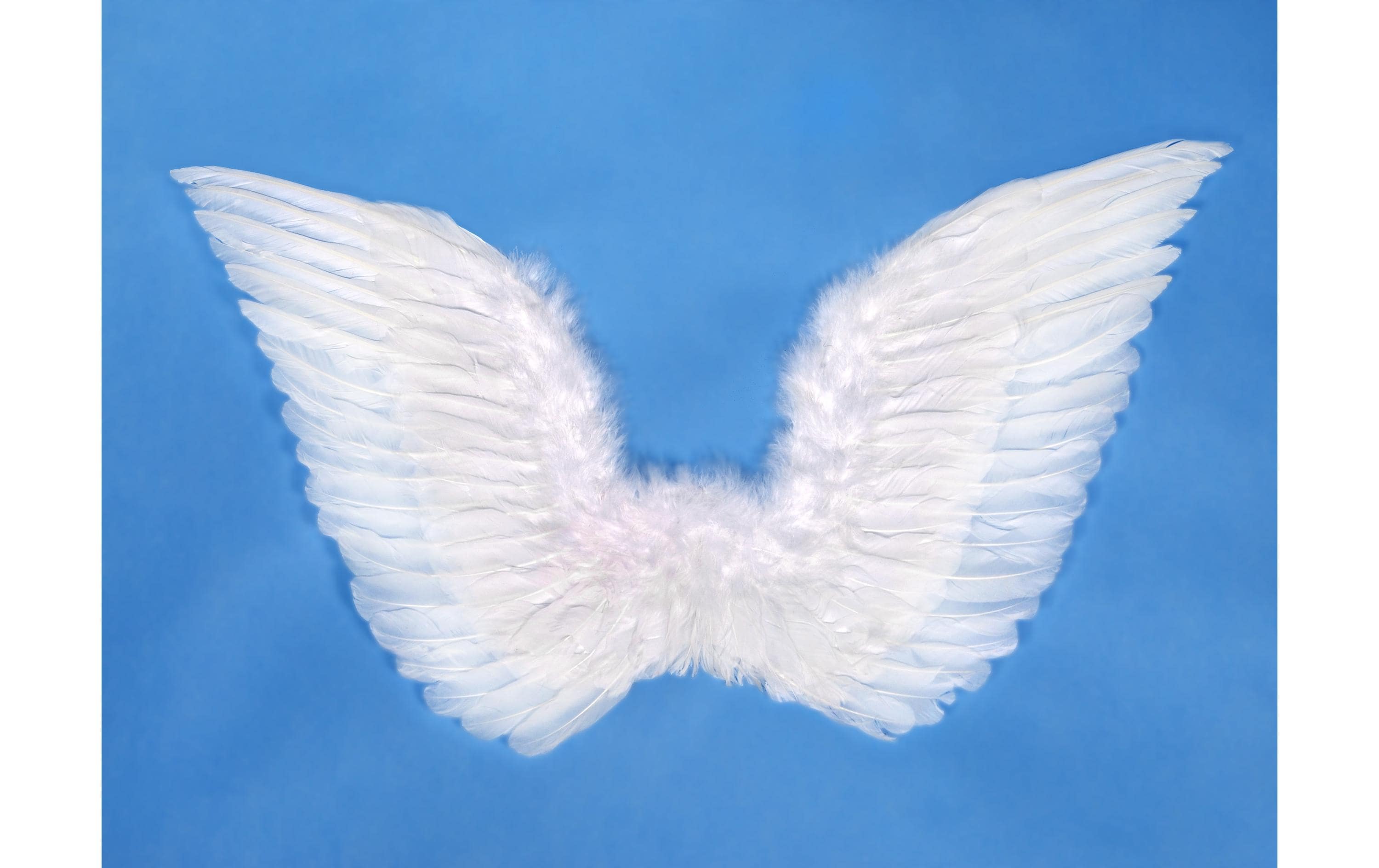 Partyaccessoire Engelsflügel 75 x 45 cm, WeissKostüm-Flügel für Partys