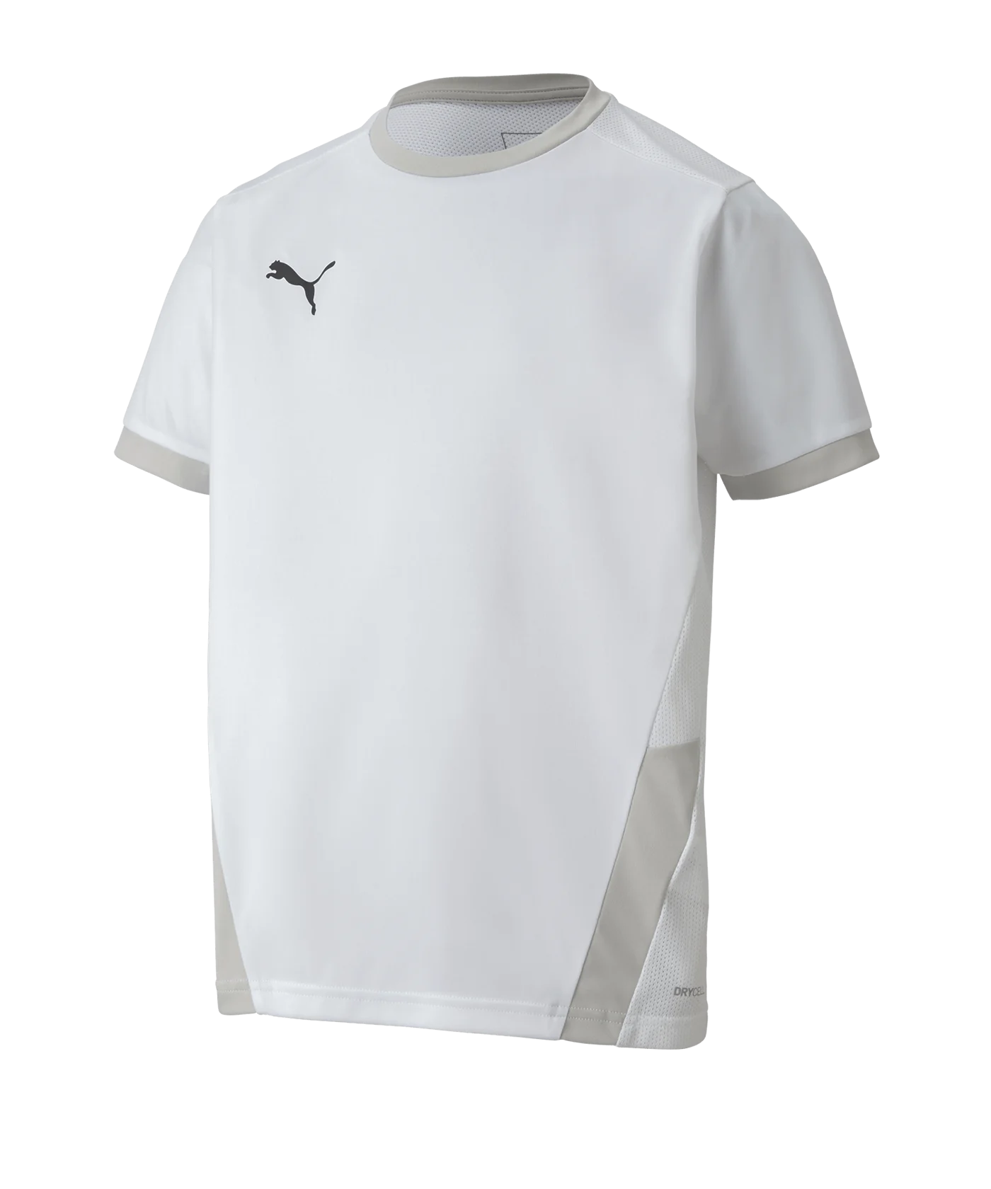 PUMA teamGOAL 23 Trikot kurzarm Kids Weiss F04