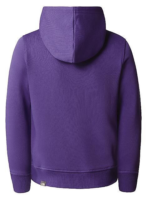 THE NORTH FACE - SWEAT TENN DREW PEAK P/O HOODIE