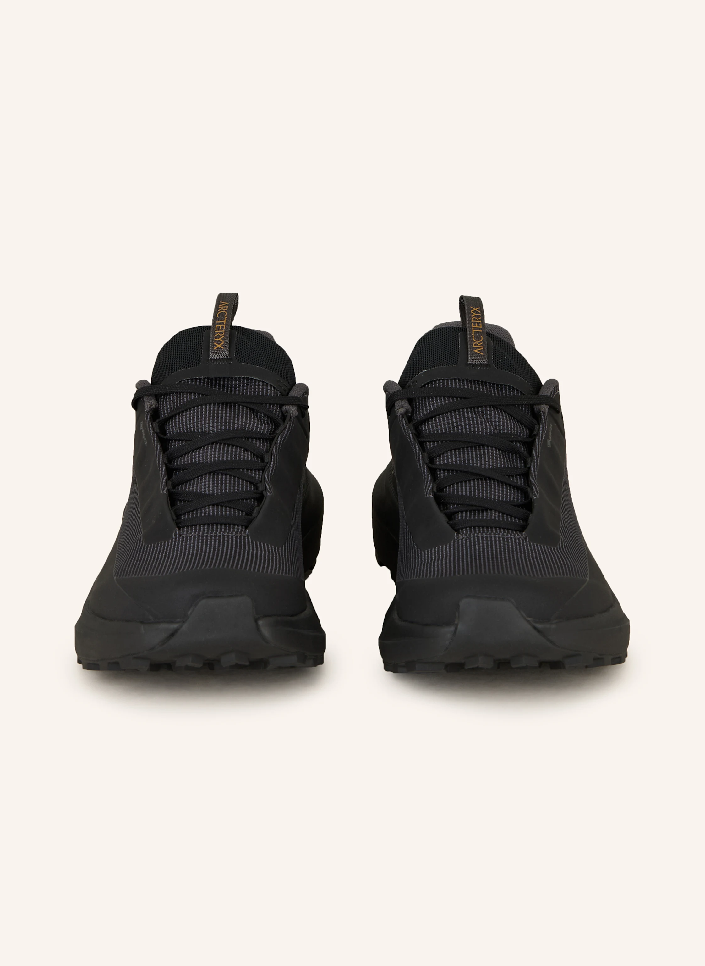 ARC'TERYX Trailrunning-Schuhe NORVAN LD 4 GTX