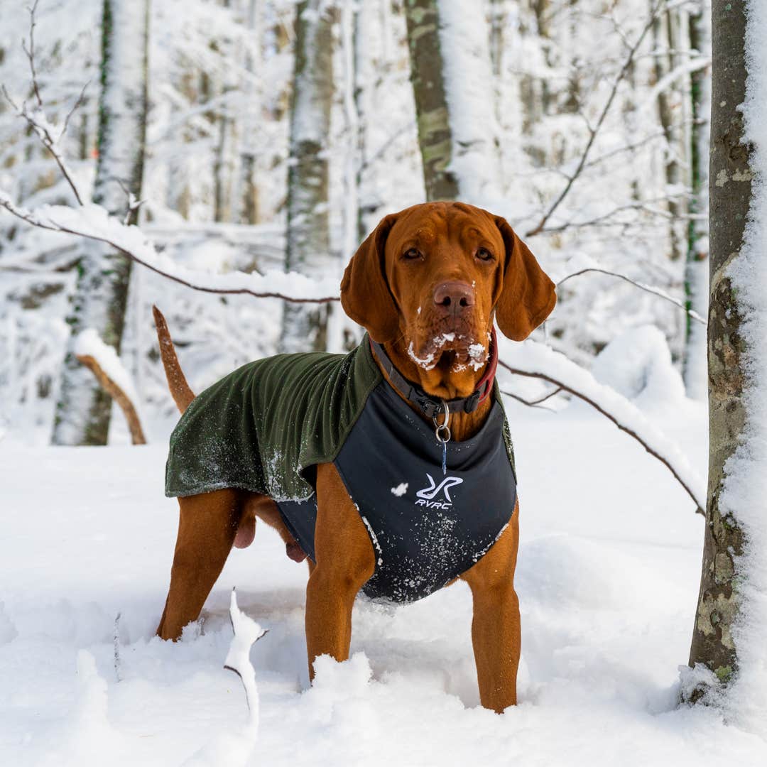 Trekker Fleece Hund Forest Night