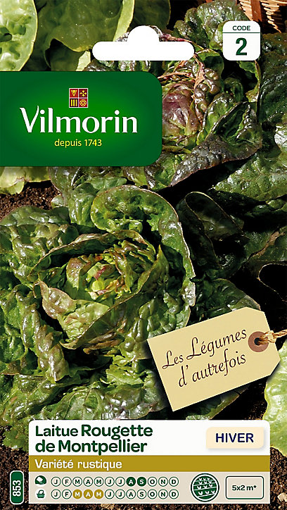 Graines de Laitue Rougette du Midi à Graines Noires Vilmorin