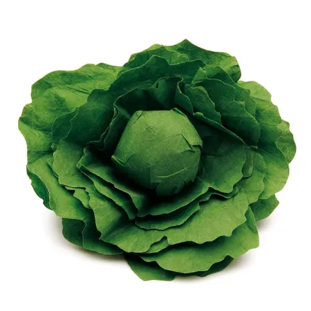 Erzi Salatkopf
