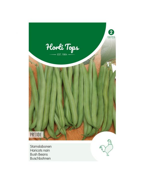 Hortitops Stamslabonen Prelude - Groentezaden - 25 g