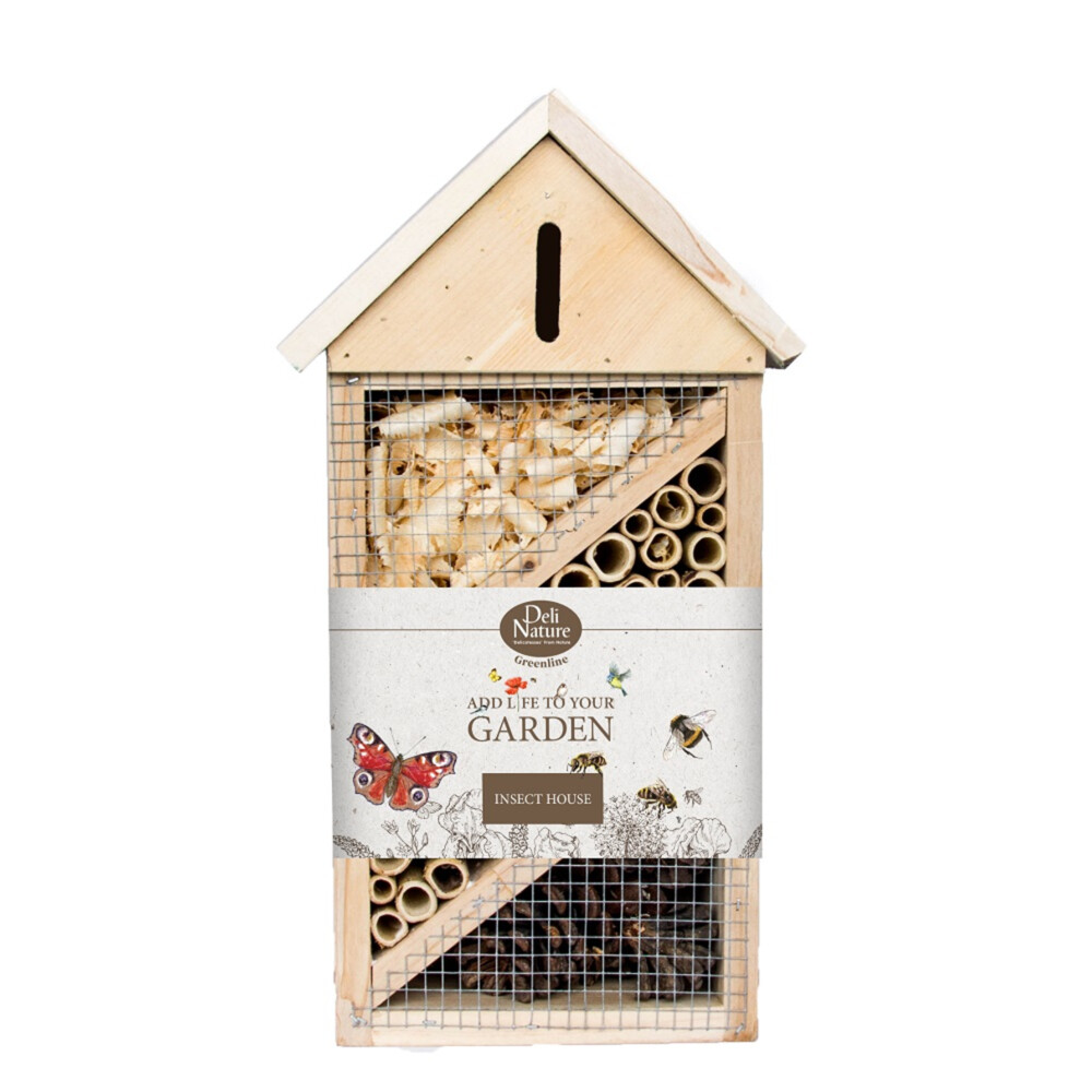 Deli Nature Greenline Insect House