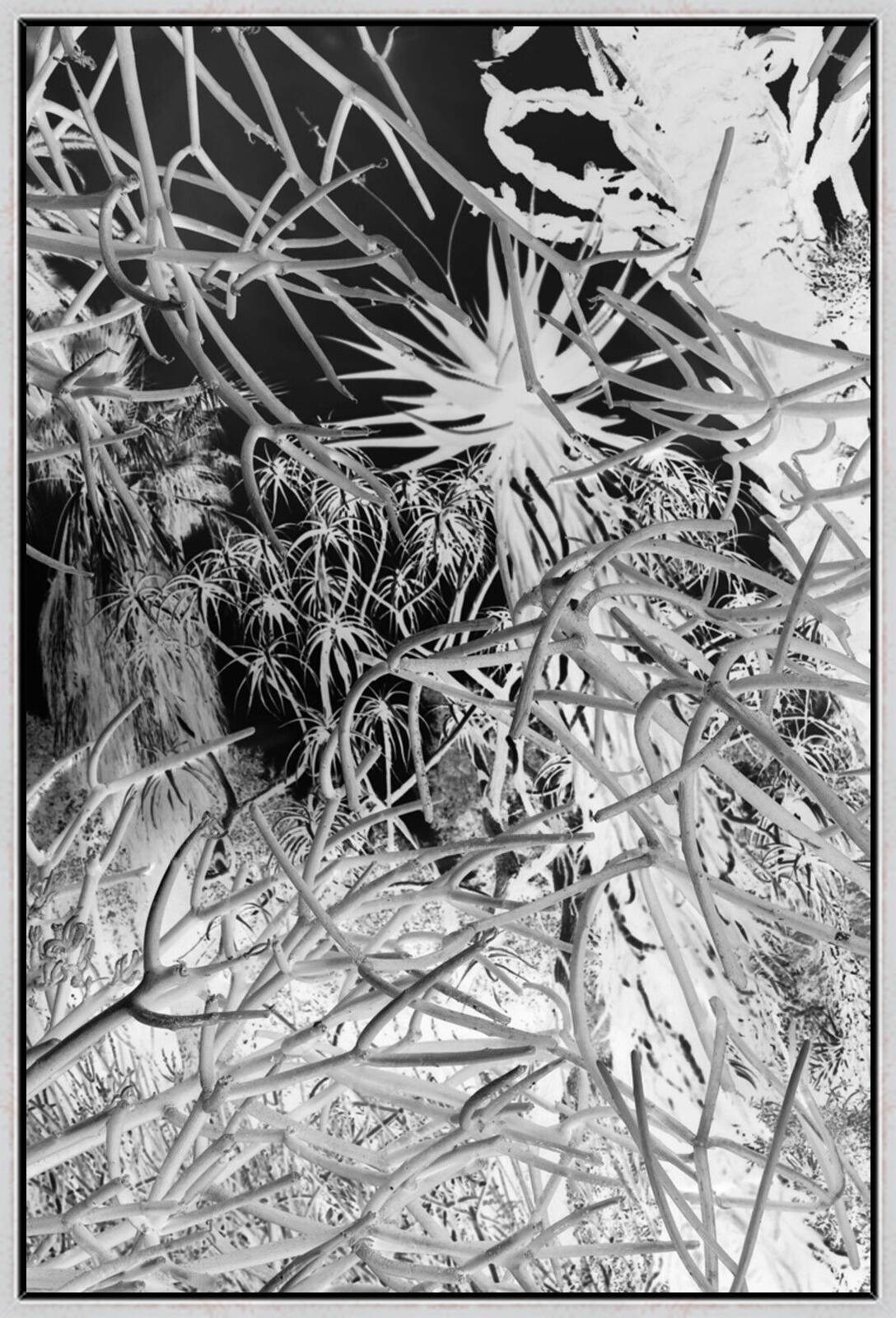 DSC4880.I.BW by Robert Bonk - Limited Edition. Edition of: 150. Signed.