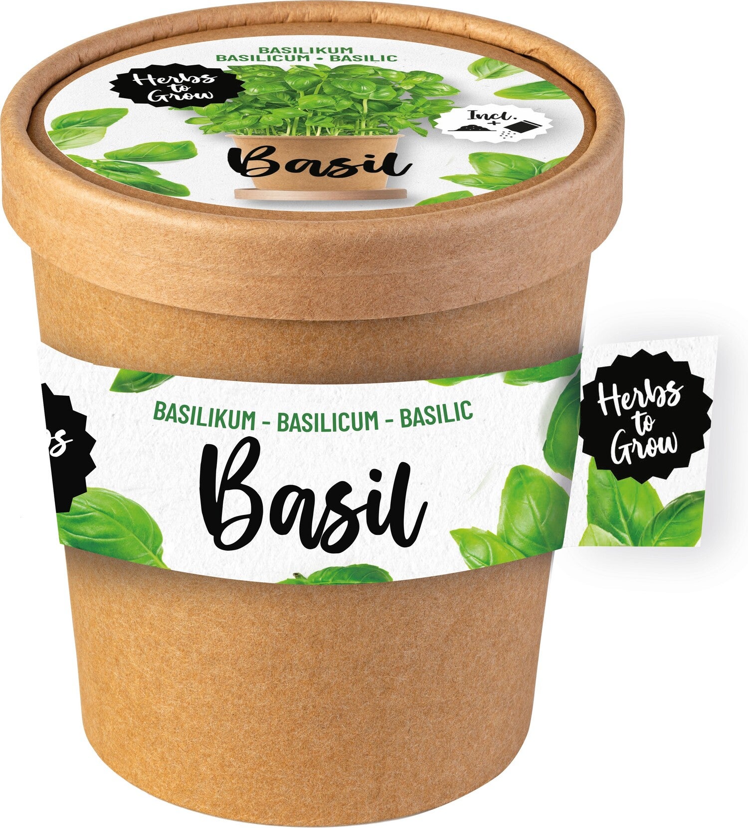 Florex Herbs To Grow Basilicum (Ocimum basilicum) D 9,2 H 9,5 cm