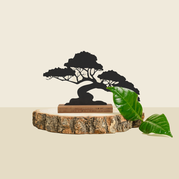 Casa Sentir Bonsai Boompje Decoratie - Small