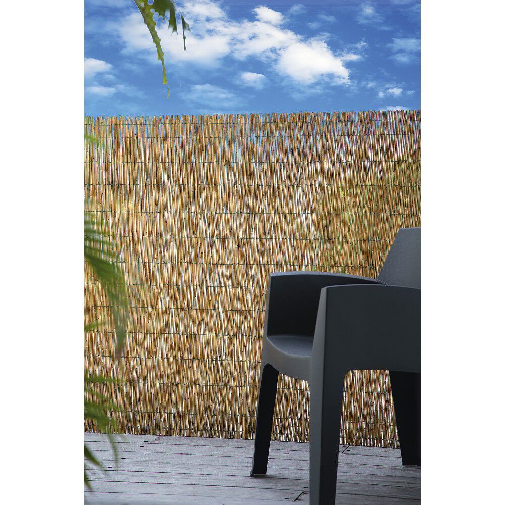 Canisse en paillon de roseaux pelés L500 x H150 cm