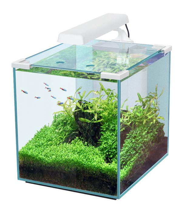 aquatlantis Aquarium Nano Cubic 30