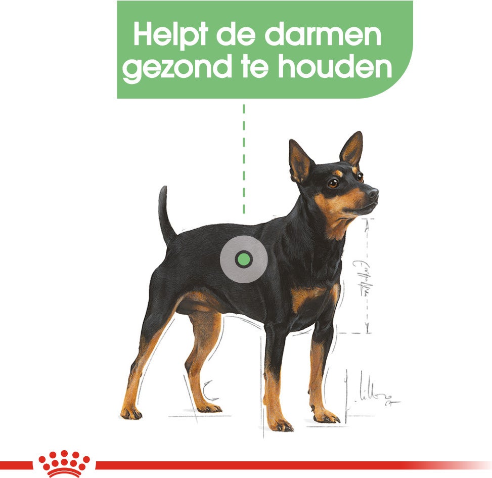 Royal Canin hondenvoer paté Digestive Care 85 g 12 stuks
