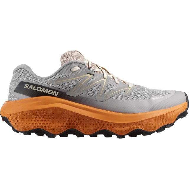 Salomon Laufschuh »ULTRA FLOW 2 GORE-TEX«  wasserdicht