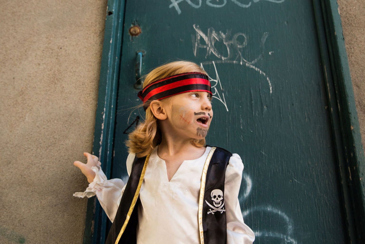 namaki  Pirate & Ladybird Face Painting Kit